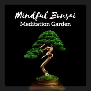Meditation with a Bonsai Tree