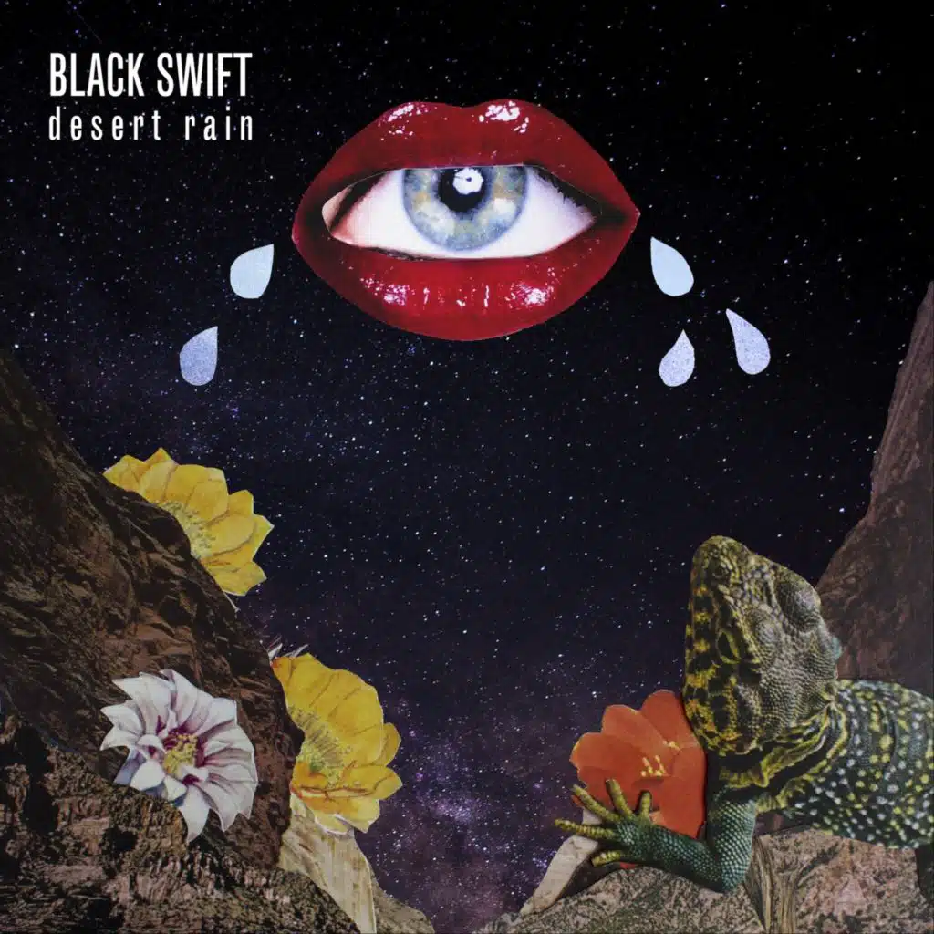 Black Swift