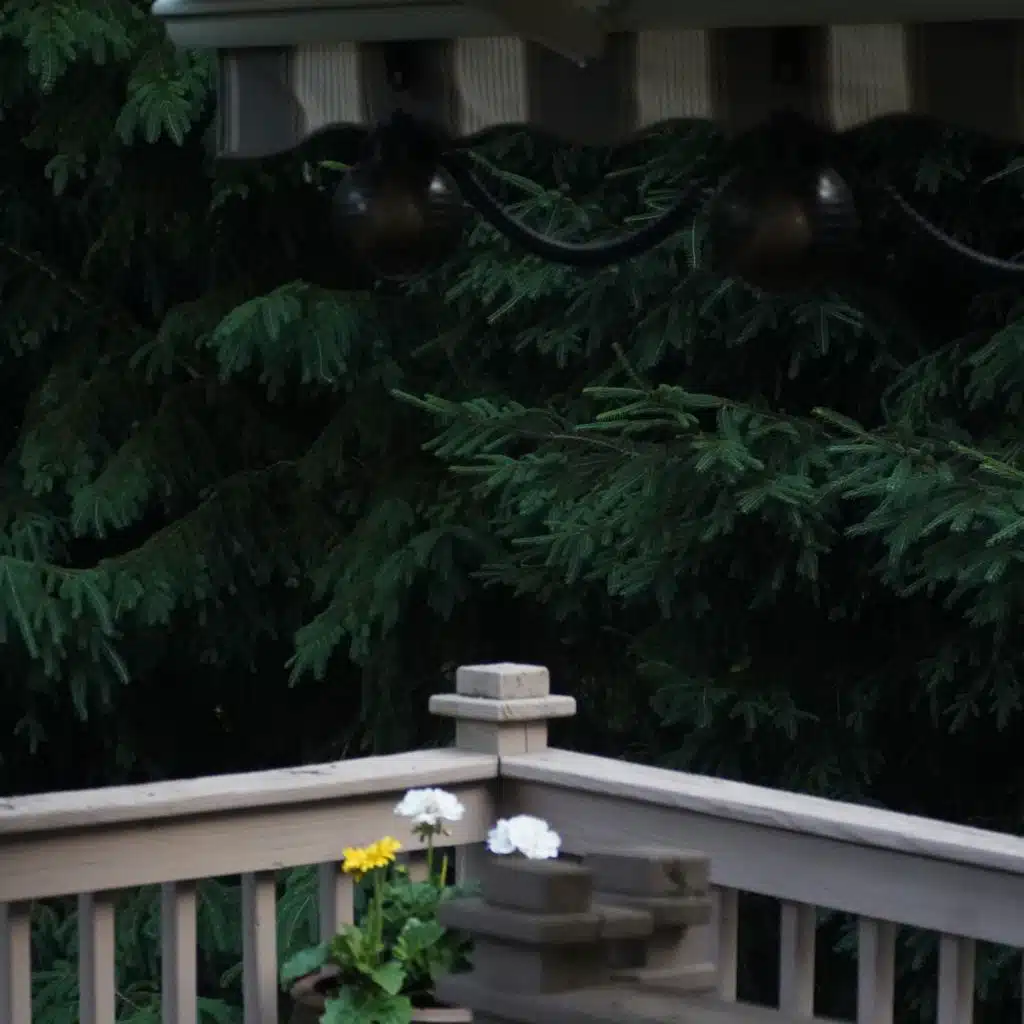 Ramapo River Anthology