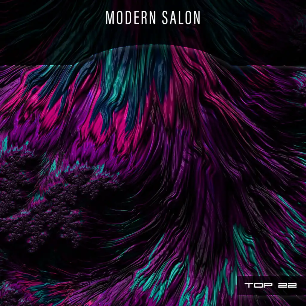 Modern Salon Top 22