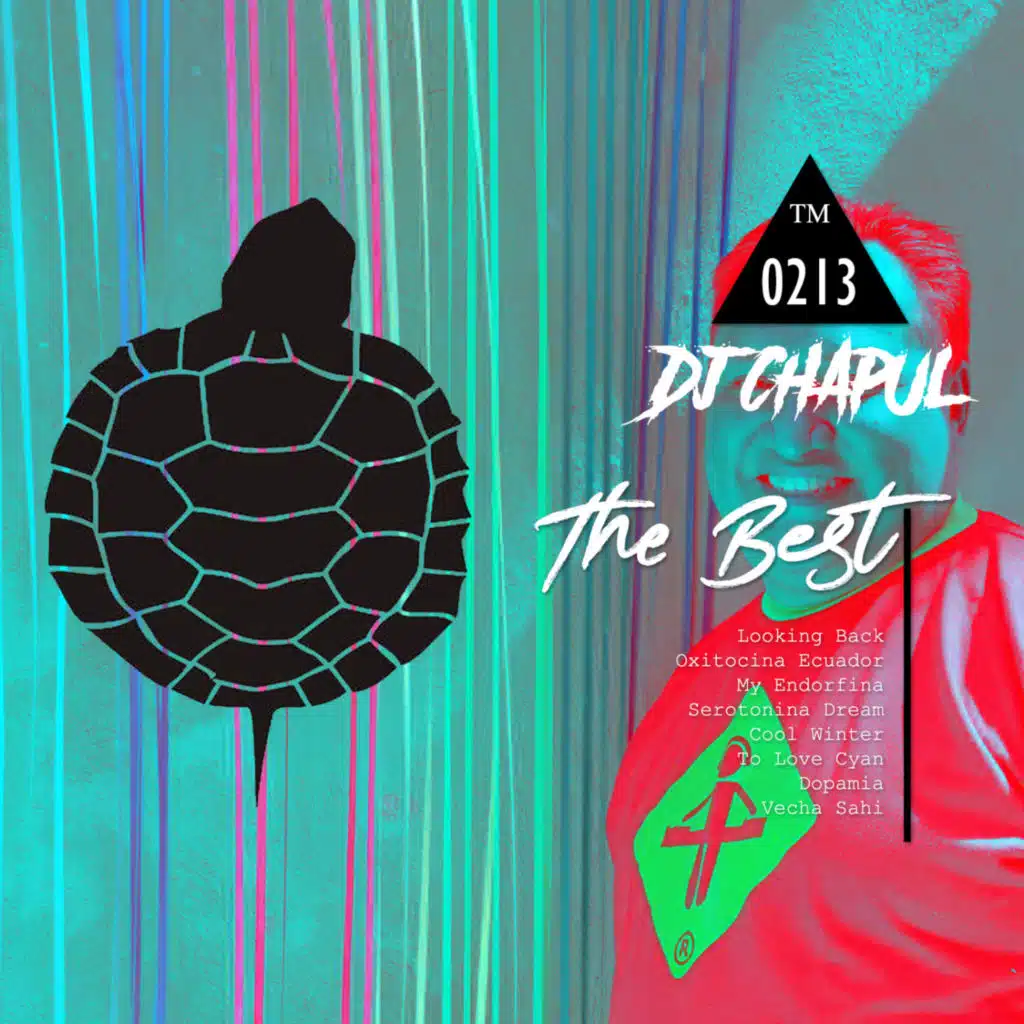 Dj Chapul