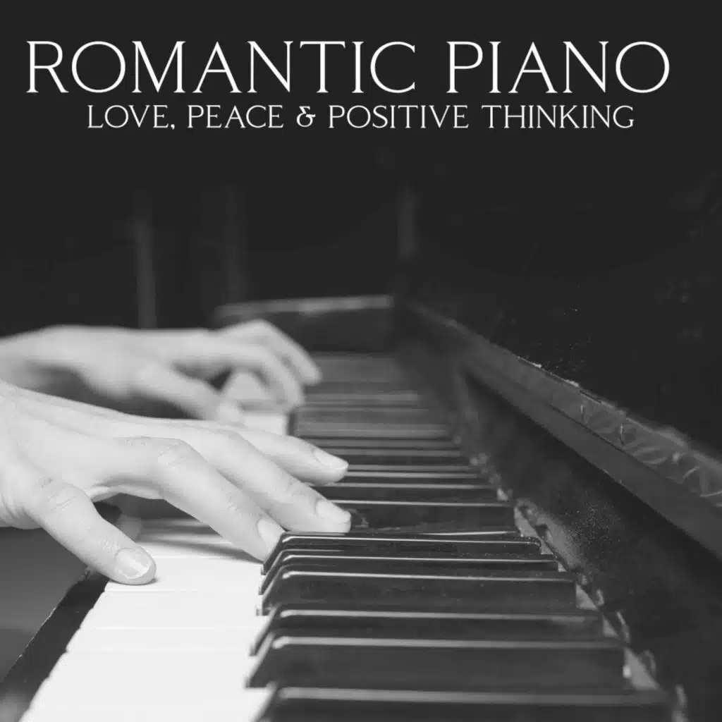 Piano Night Music Paradise
