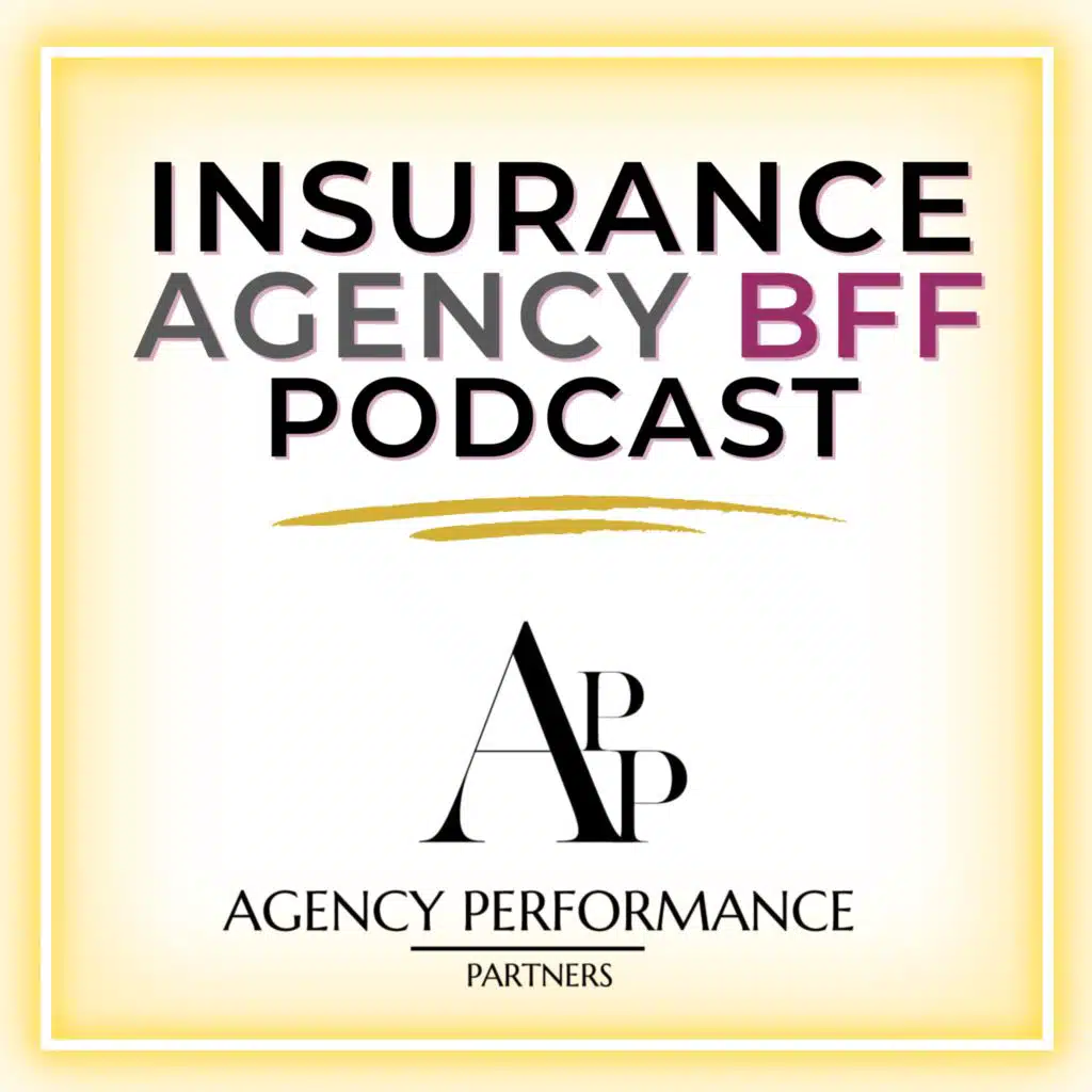 AGENCY PERFORMANCE PARTNERS