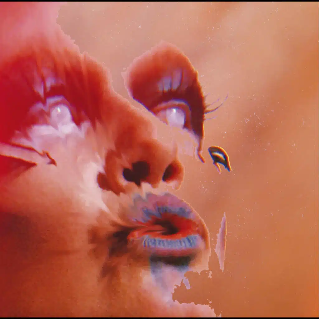 Mr. Silla & Páll Ivan frá Eiðum