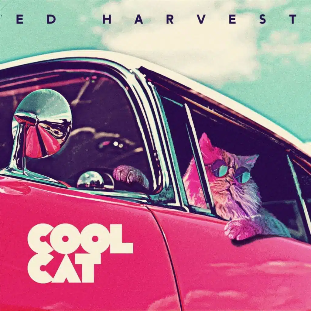 Cool Cat