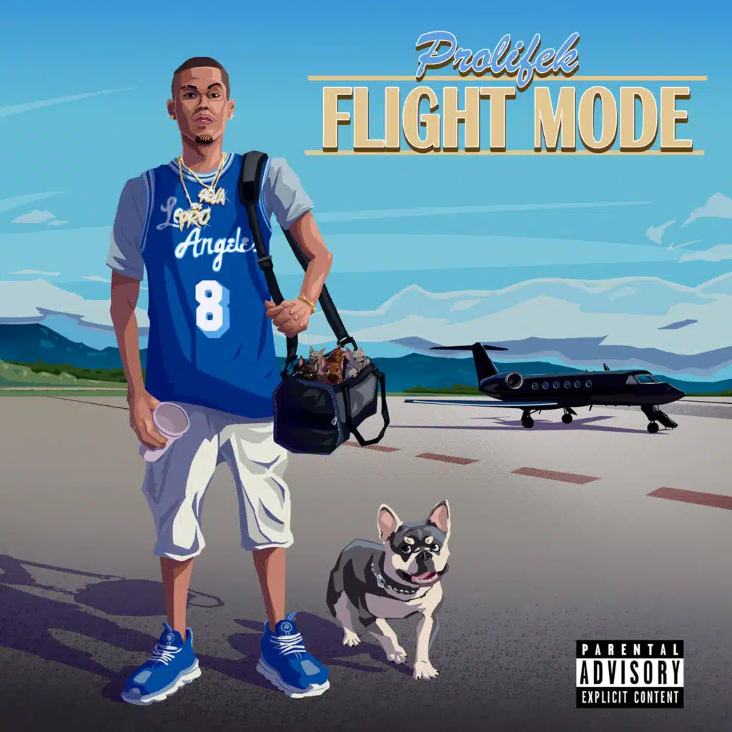Flight Mode