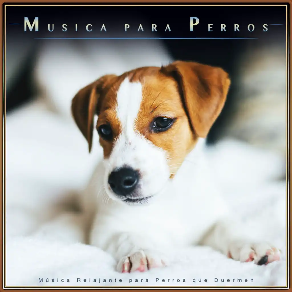 Música Relajante para Perros Mientras No Estás En Casa