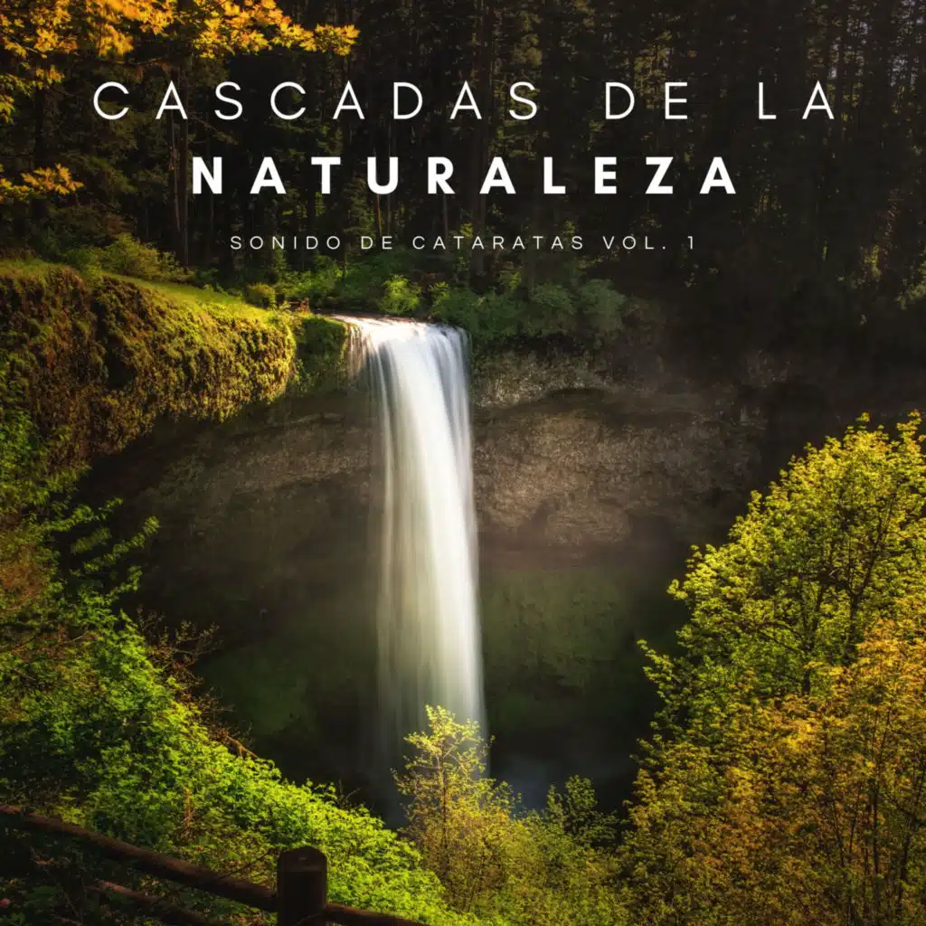 Música Para Aliviar El Estrés & Academia de Música con Sonidos de la Naturaleza