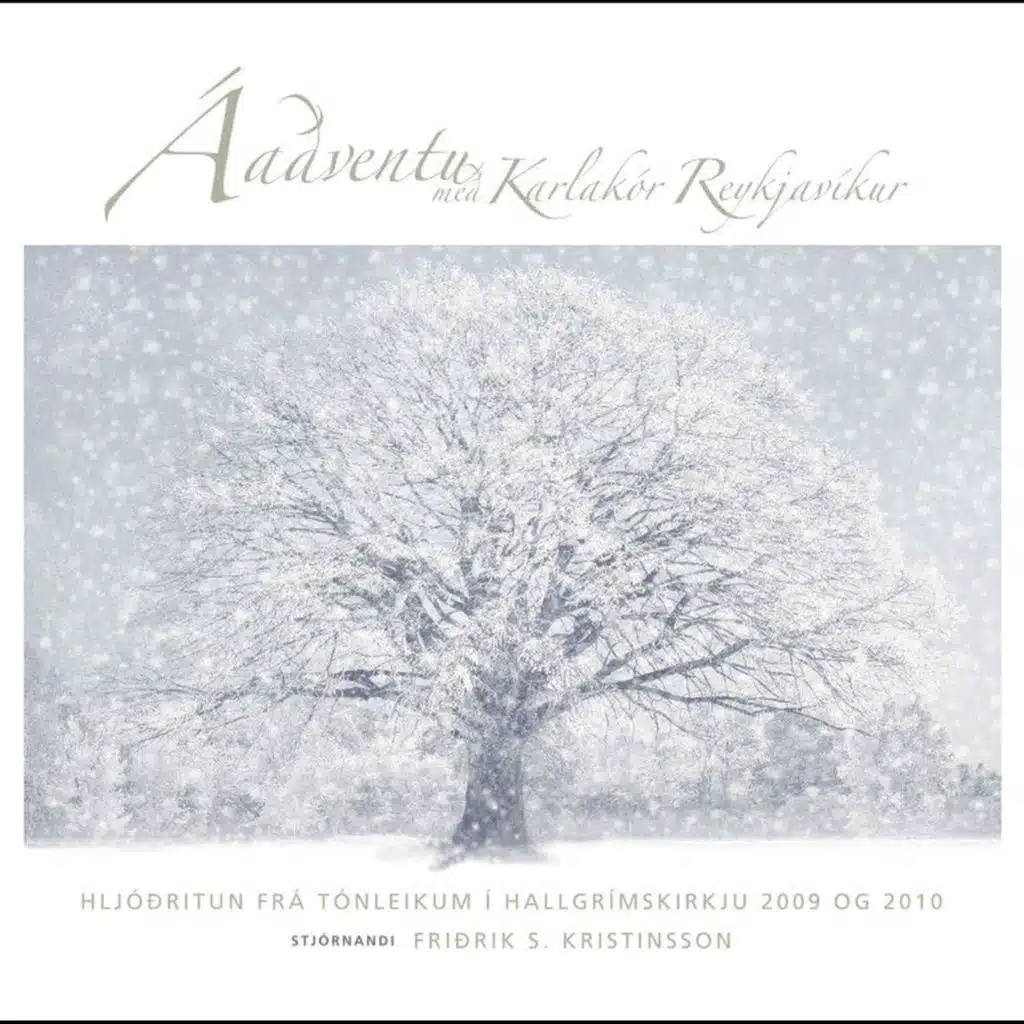 Karlakór Reykjavíkur