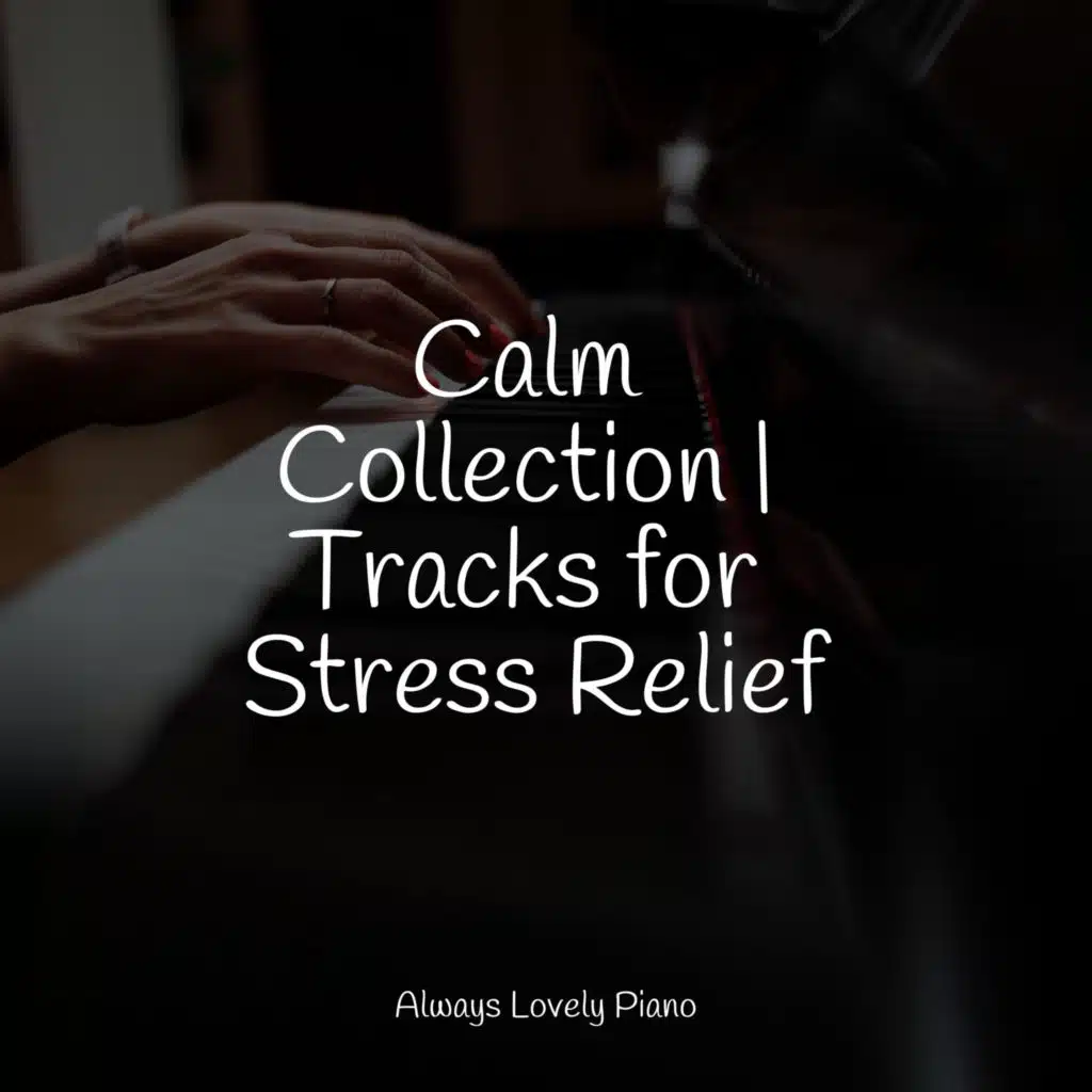 Calm Collection | Tracks for Stress Relief
