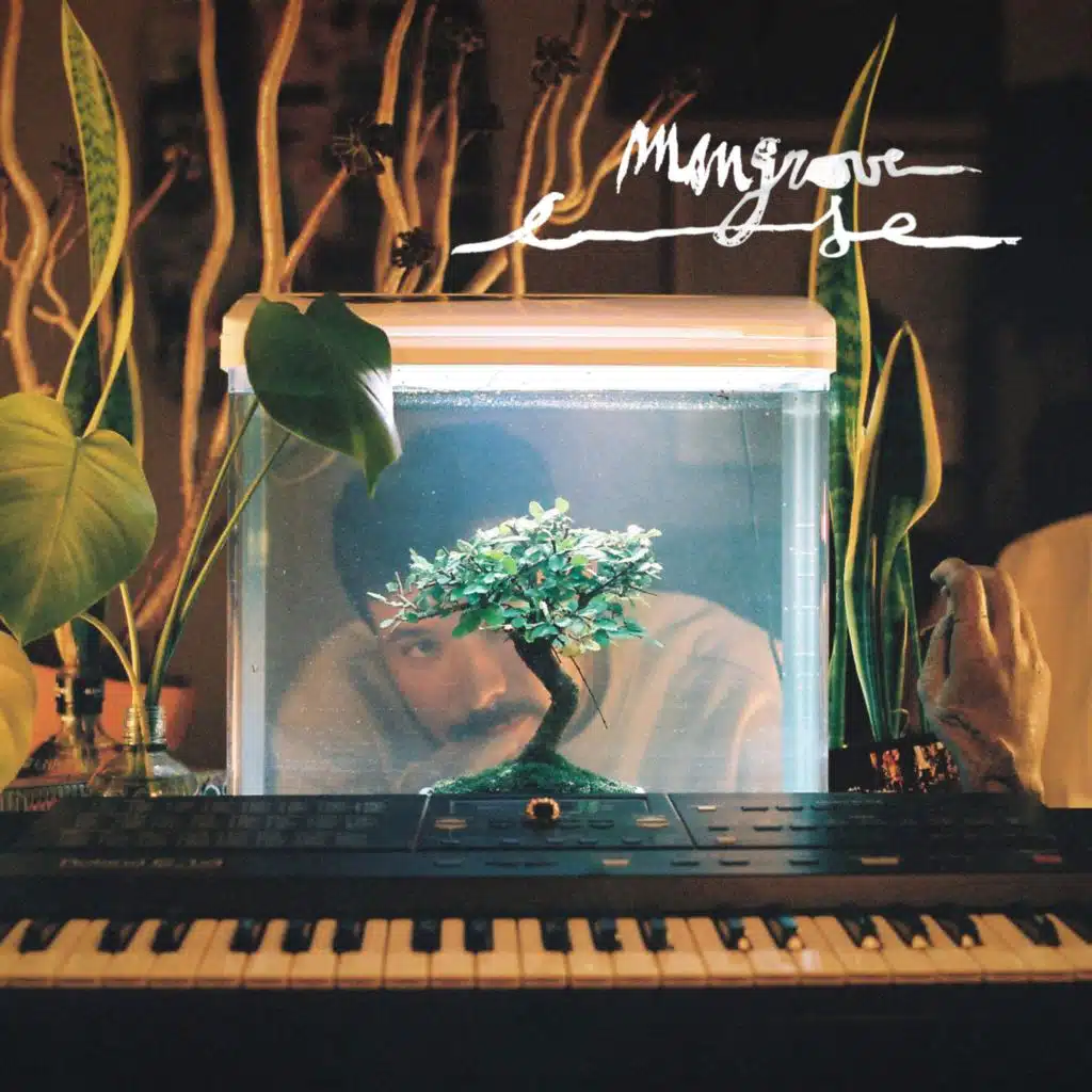 Mangrove