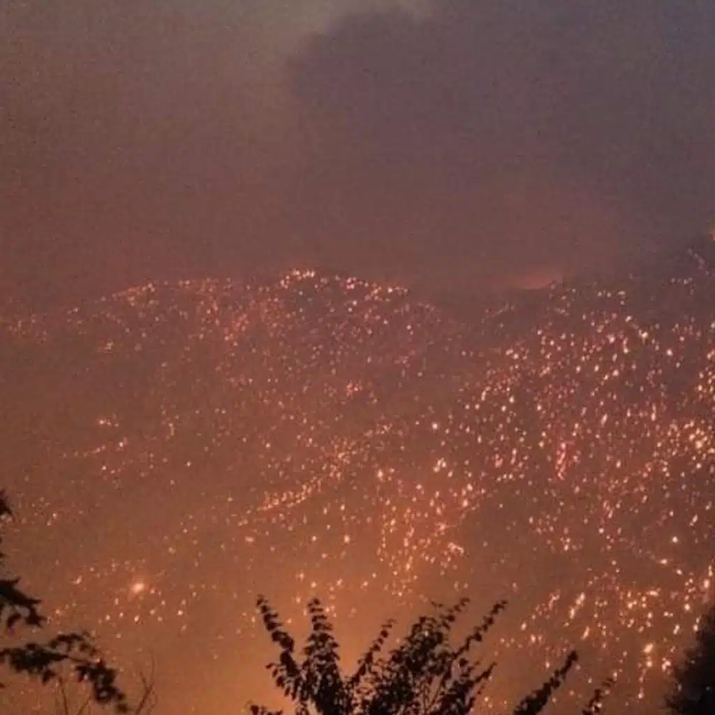 Ya Elgomri