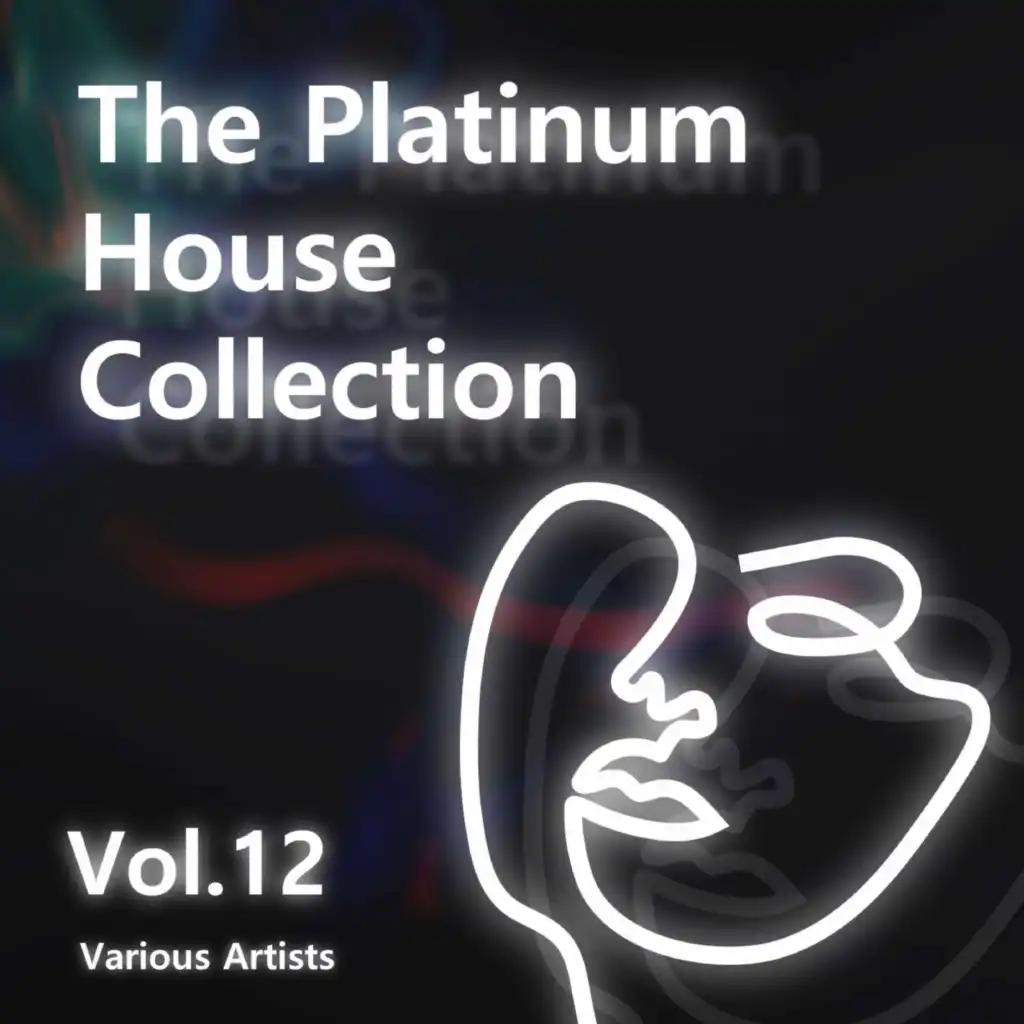 Various Artists - The Platinum House Collection Vol.12