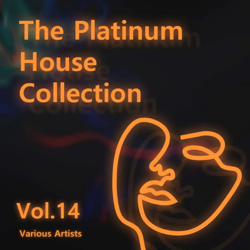 Various Artists - The Platinum House Collection Vol.14