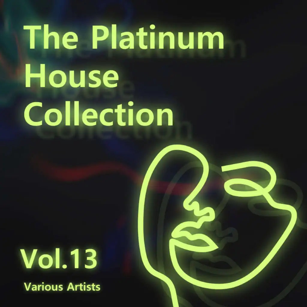 Various Artists - The Platinum House Collection Vol.13
