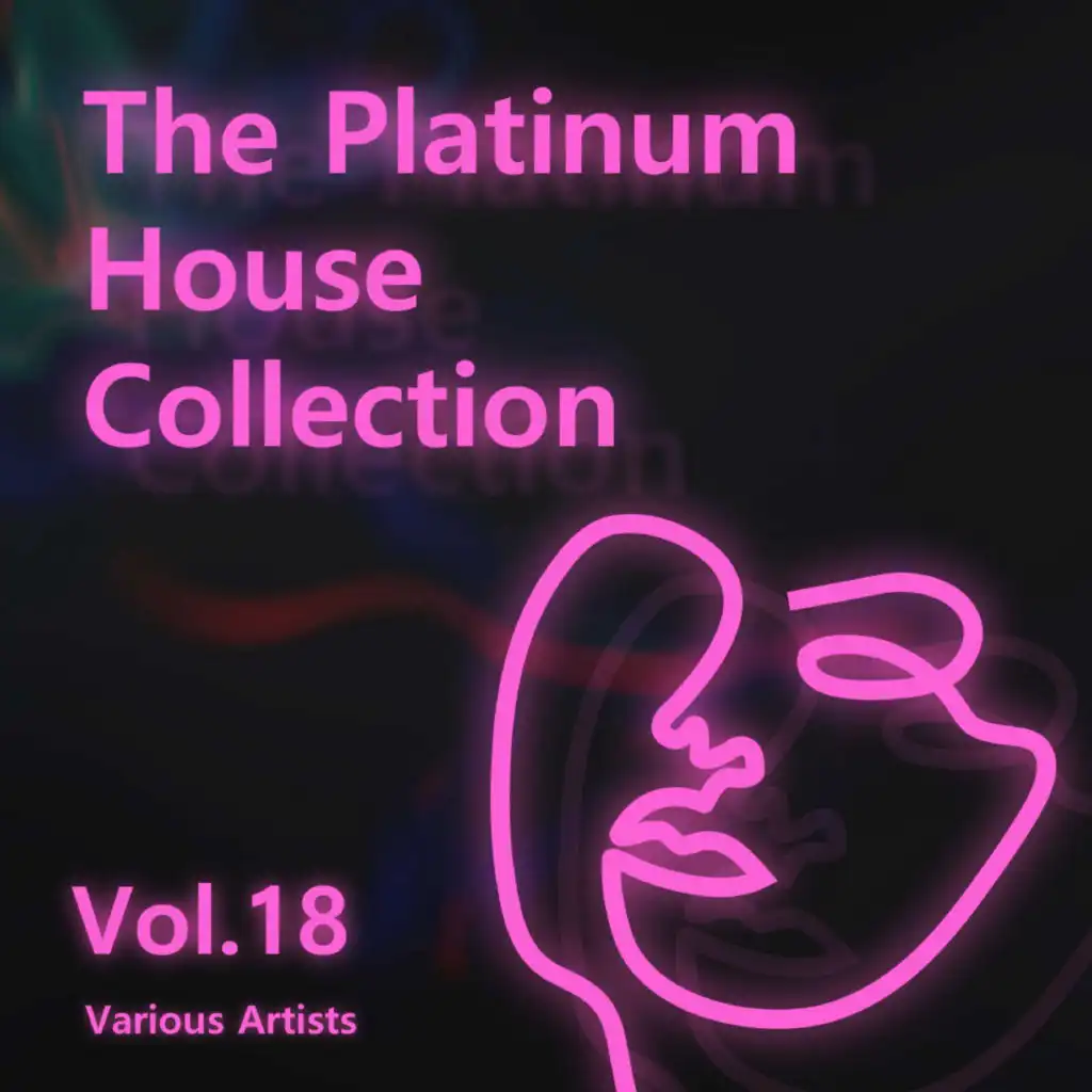 Various Artists - The Platinum House Collection Vol.18