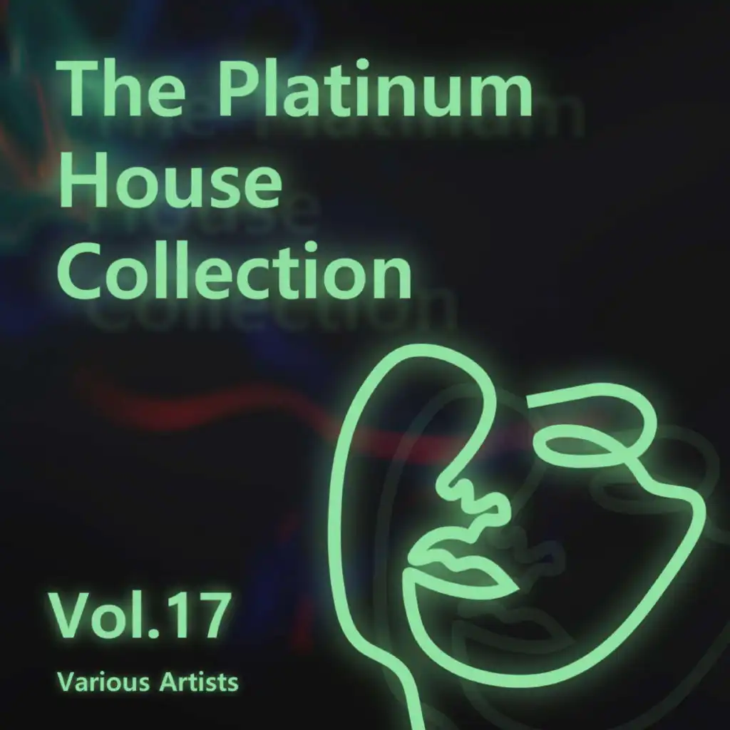 Various Artists - The Platinum House Collection Vol.17