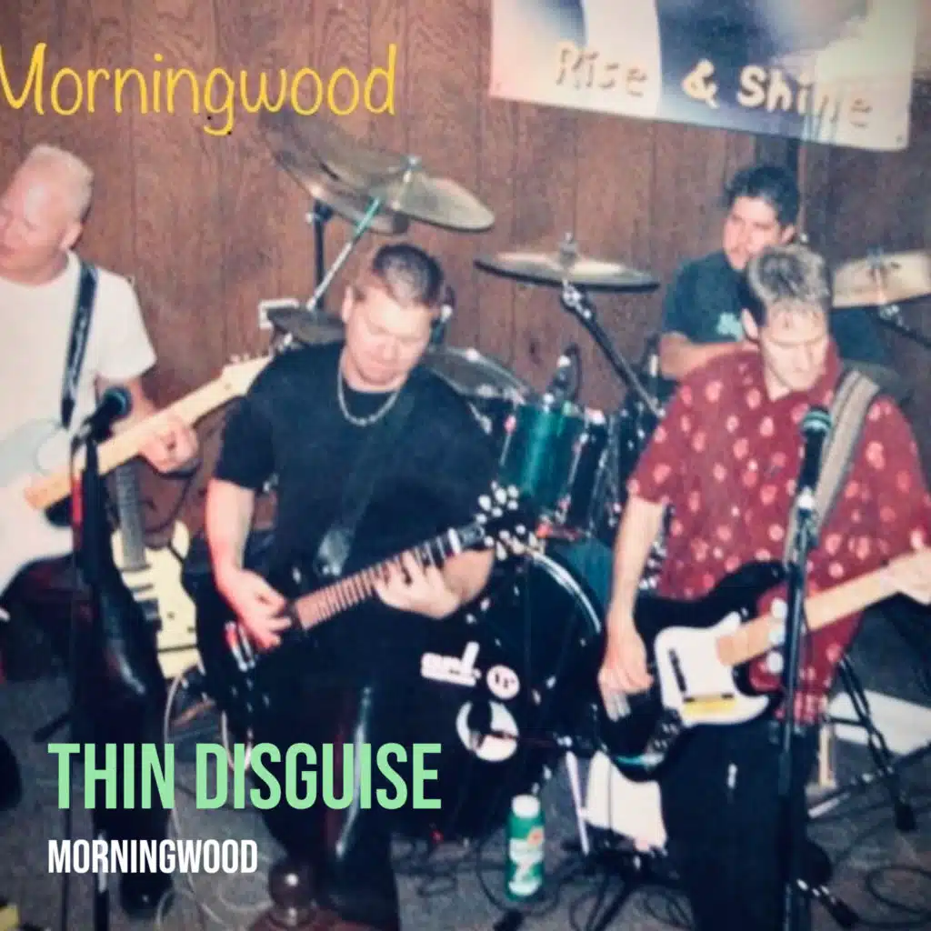 Thin Disguise
