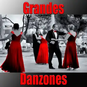 Danzón De Las Flores (Instrumental)