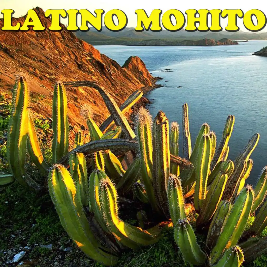 Latino Mohito
