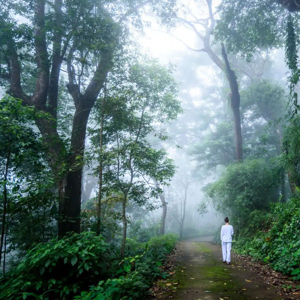 Morning Meditation Pt. 25 (feat. Natural Reflections & Timeless Relaxation)