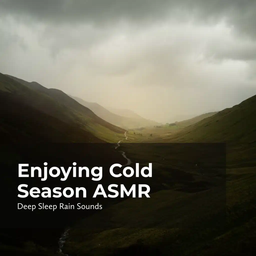 Deep Sleep Rain Sounds, Rain Meditations & Rain Sounds Collection