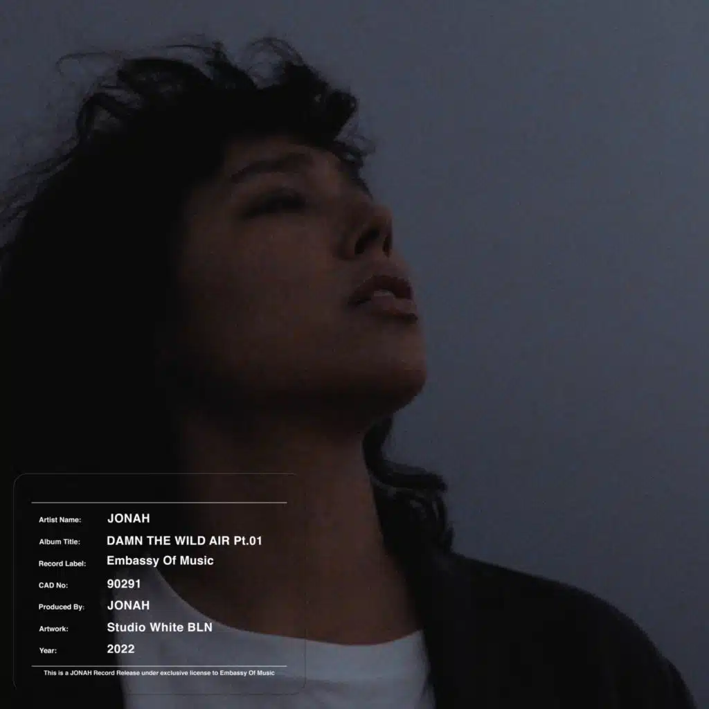 Damn the Wild Air, Pt. 01