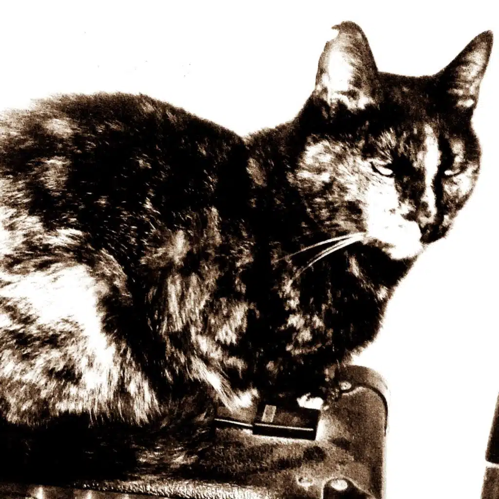 Drácula