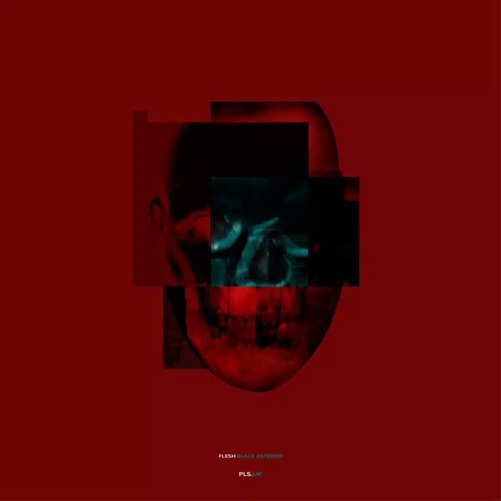 New Flesh