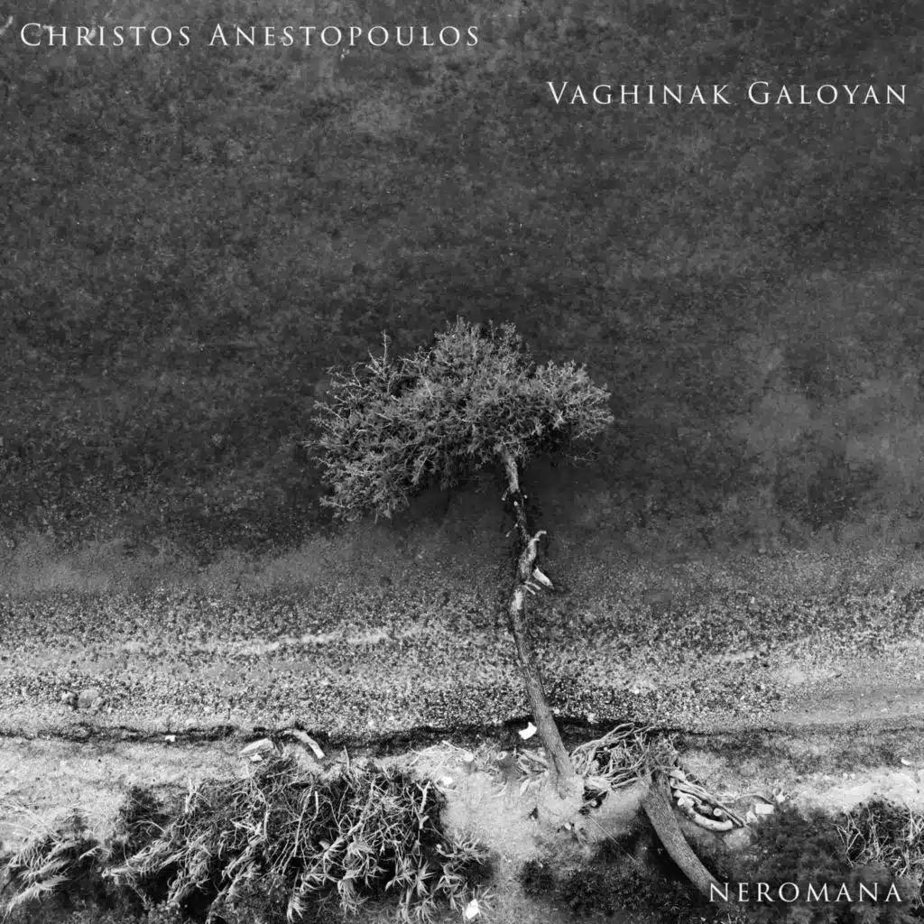 Christos Anestopoulos