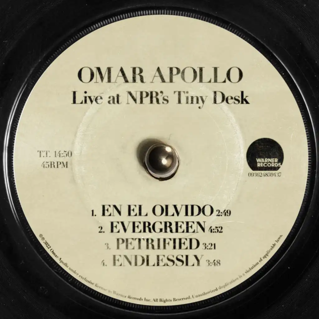 Endlessly (Live At NPR's Tiny Desk)