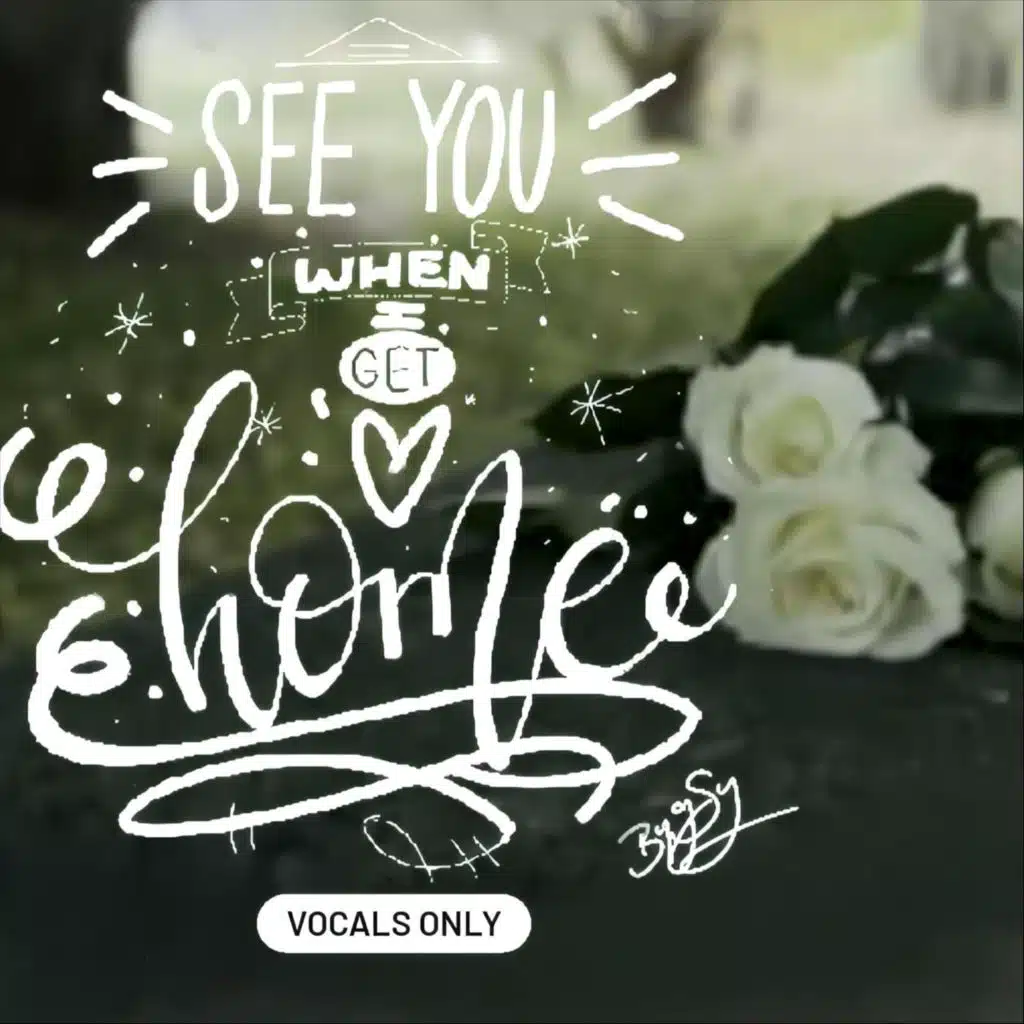 See You When I Get Home (Vocals Only)