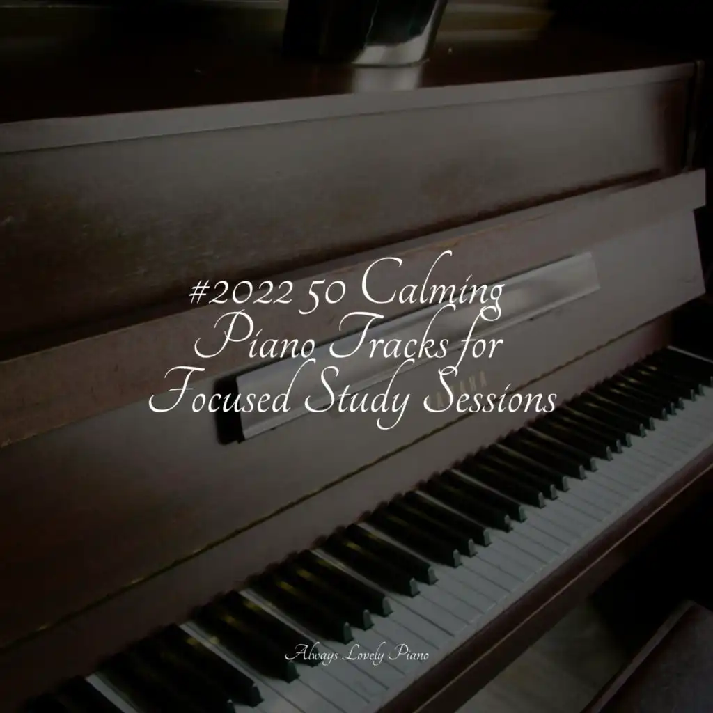 #2022 50 Calming Piano Tracks for Focused Study Sessions