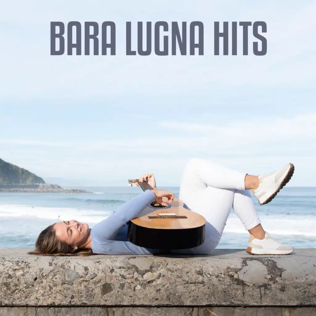 Bara Lugna Hits
