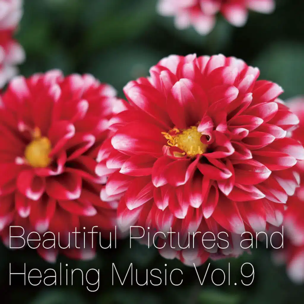 Beautiful Pictures and Healing Music Vol.9 (Women's Public Opinion Ver.)