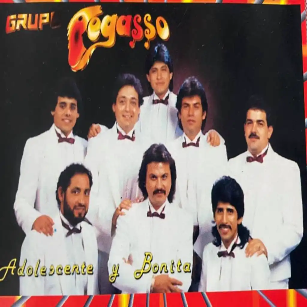 Grupo Pegasso