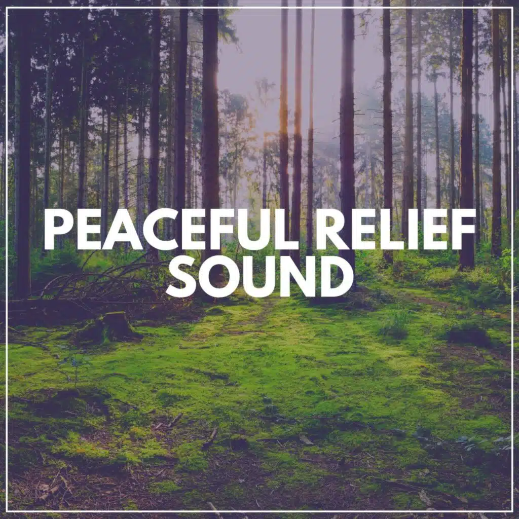 Natural Calmness, Pt. 2