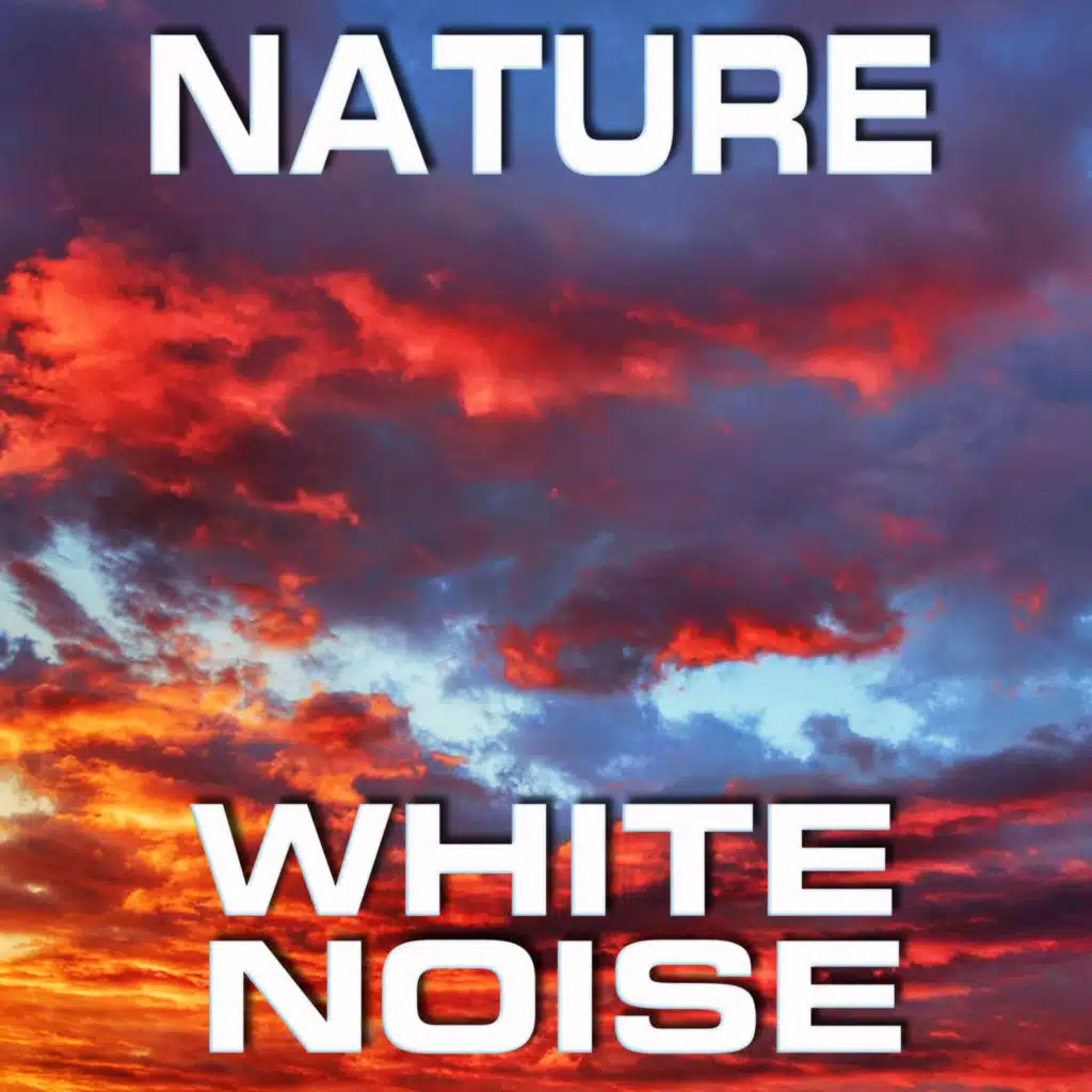 Nature White Noise (feat. Ambience FX, FX Ambience, Meditative Soundscapes, Nature Sounded, Sleeping White Noise & Celestial White Noise)