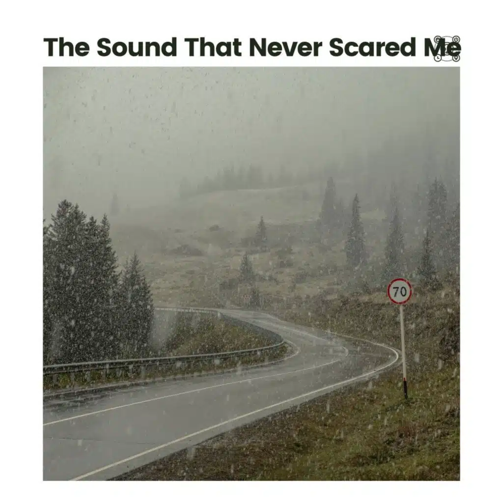 The Nature Soundscapes & The Sound Of The Rain