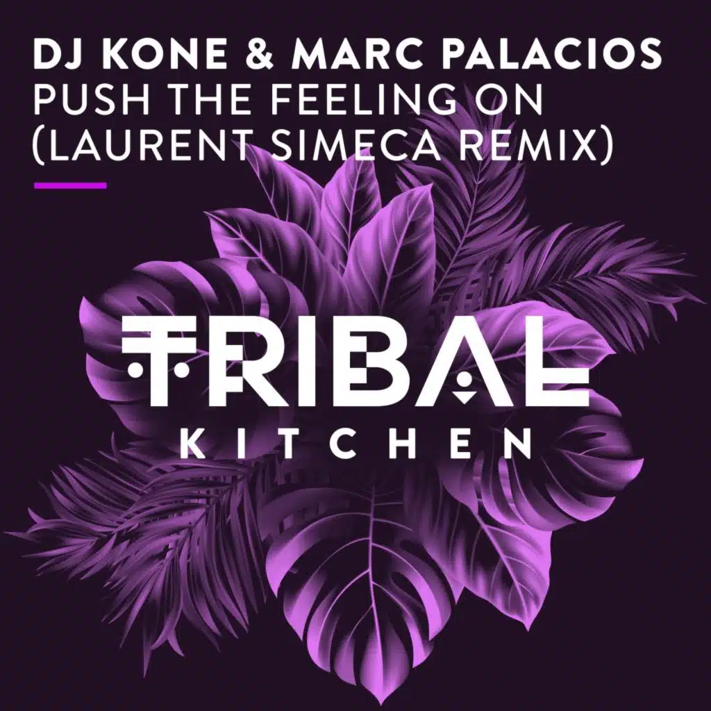 Push the Feeling On (Laurent Simeca Extended Remix)