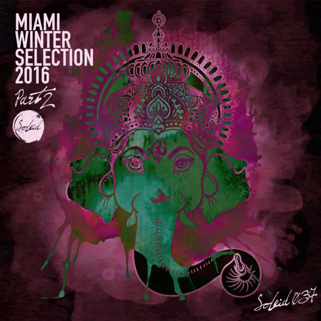 Miami Winter Soleid Selection 2016, Pt. 2
