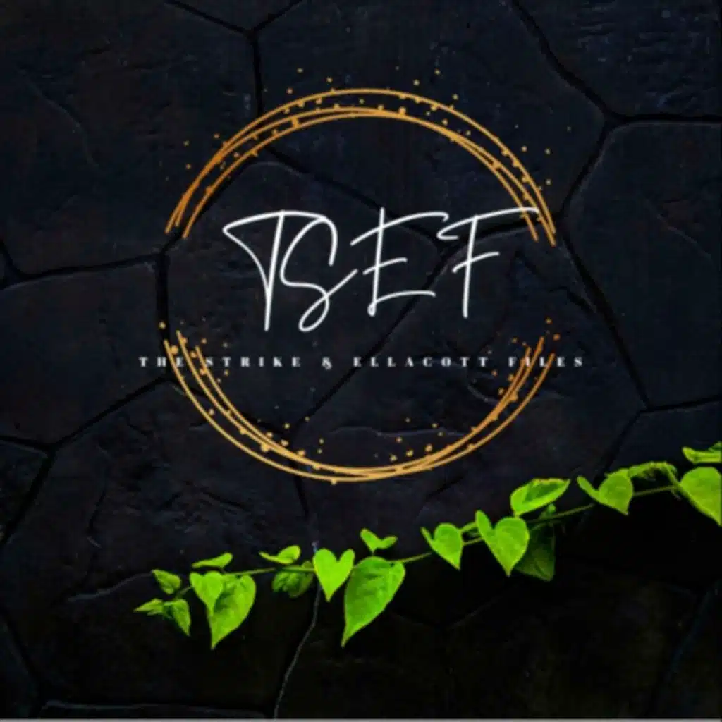 THE STRIKE AND ELLACOTT FILES