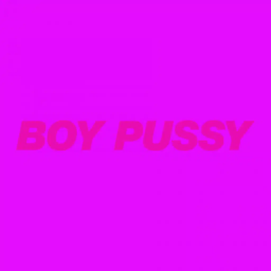Boy Pussy: The Remixes, Vol. 2