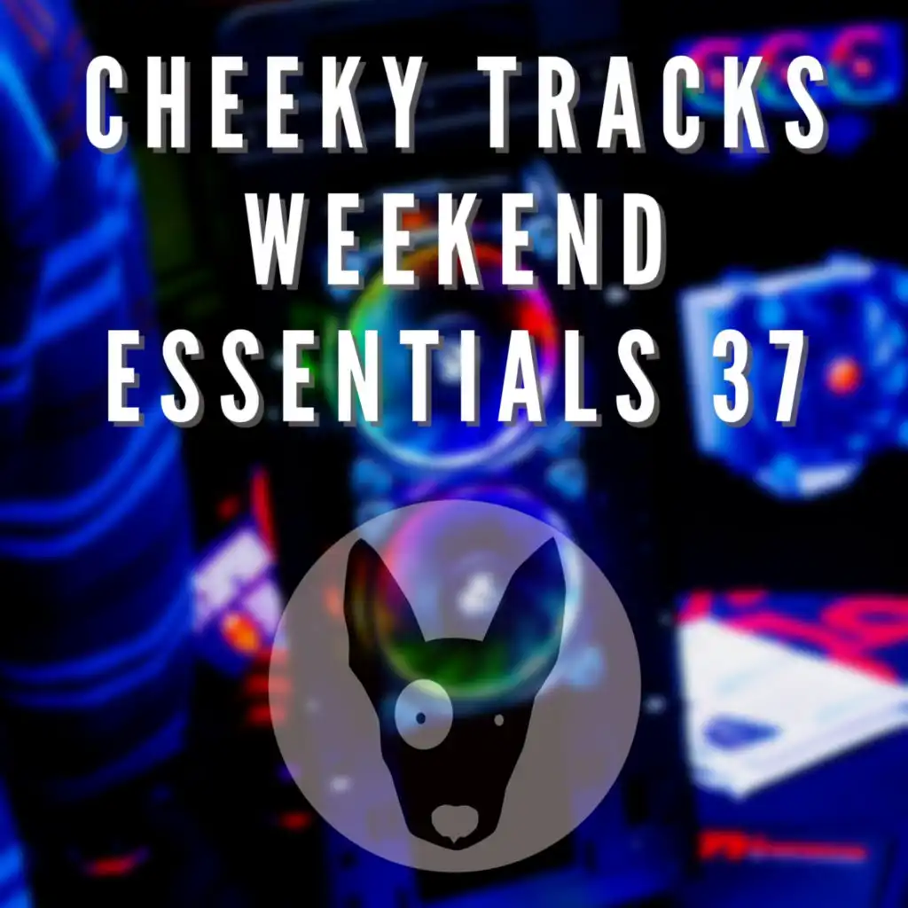 Cheeky Tracks Weekend Essentials 37