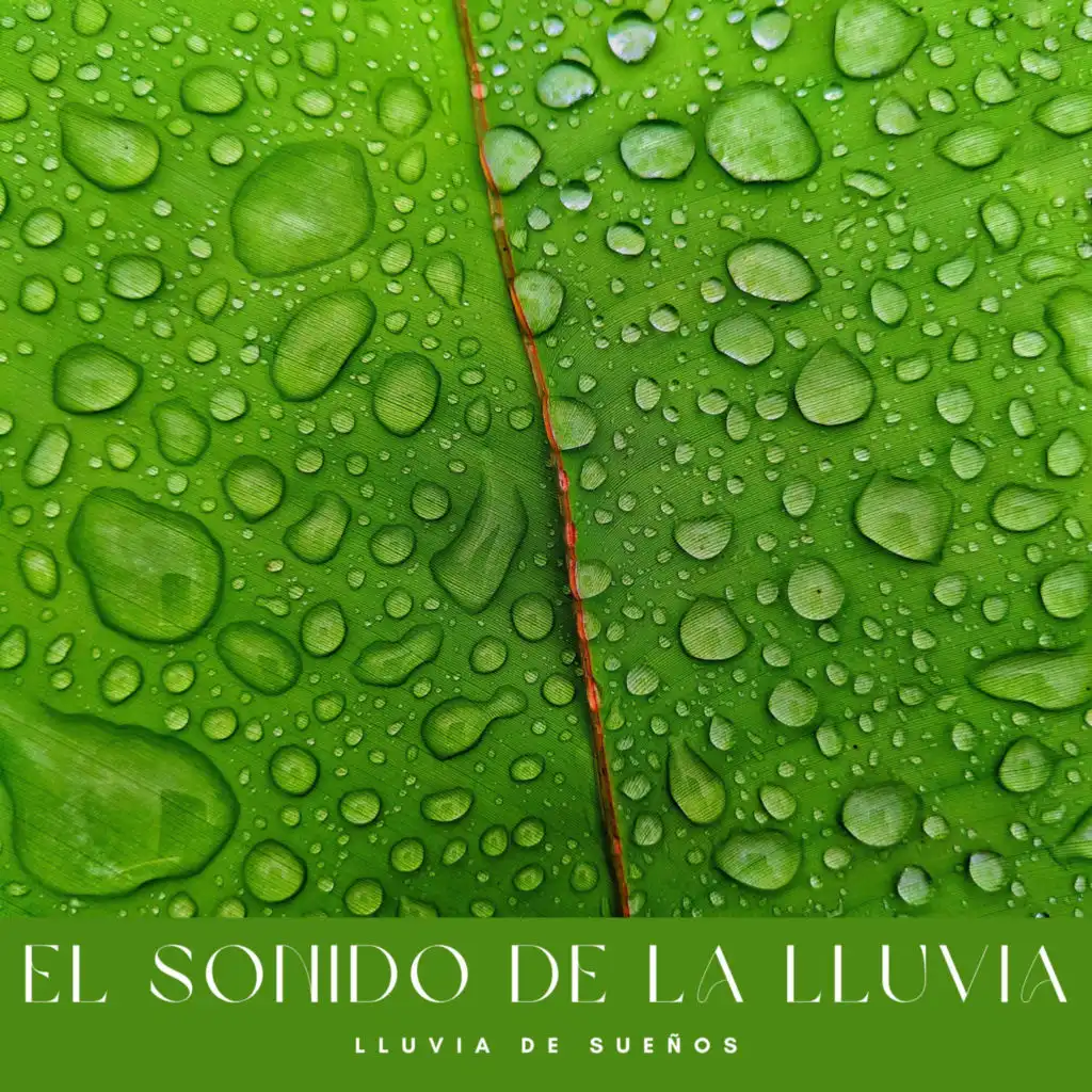 El Sonido De La Lluvia: Lluvia De Sueños