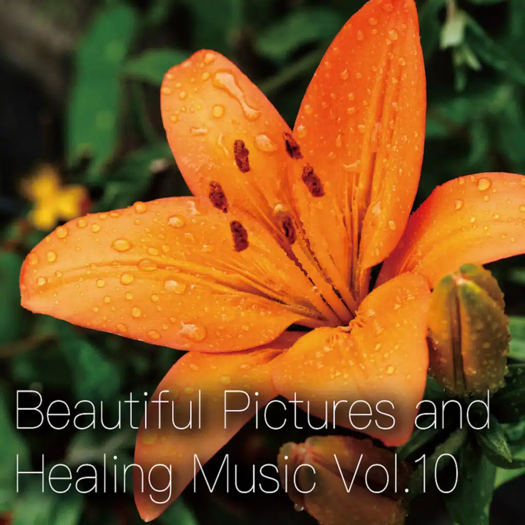 Wise Silver Hair Lady’s Eyes (Women's Public Opinion Ver.)