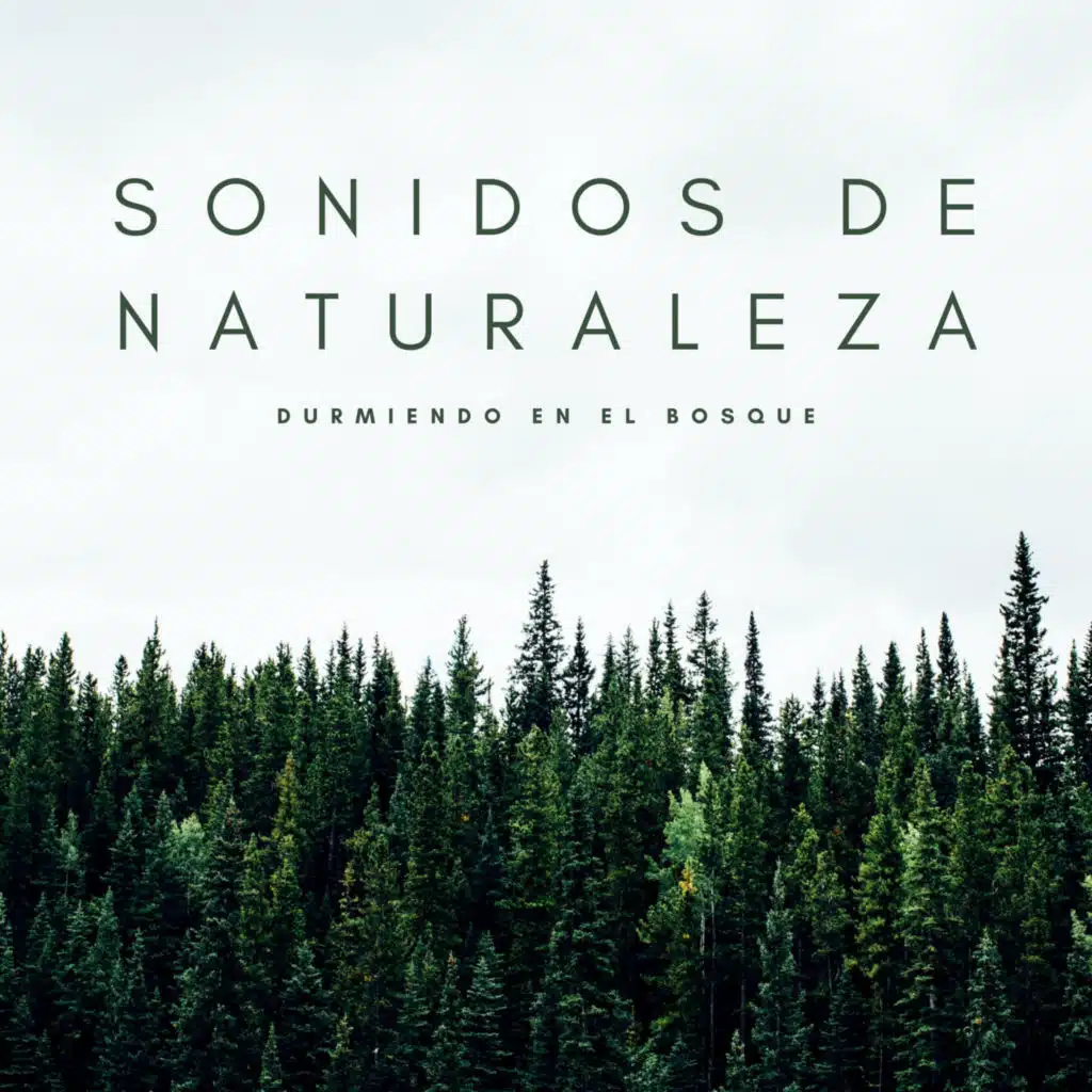 Paz