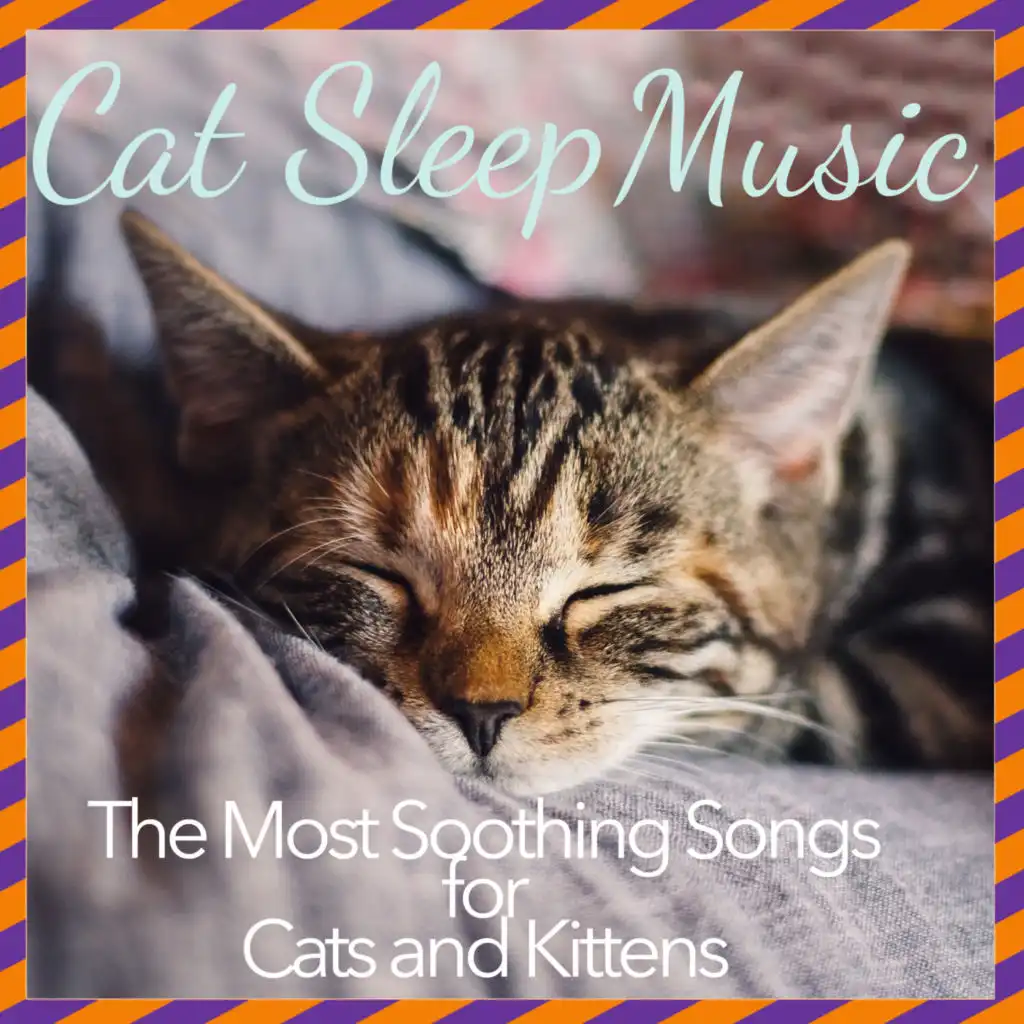 Cat Music Zone, Cat Music & Cat Music Hour