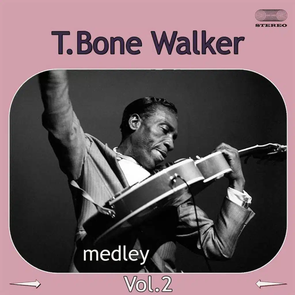 T-Bone Walker Medley 2: I Got the Blues Again / Wanderin' Heart / News for My Baby / When the Sun Goes Down / Party Girl / Hard Way / Blue Mood / My Baby Is Now On My Mind /  Vida Lee