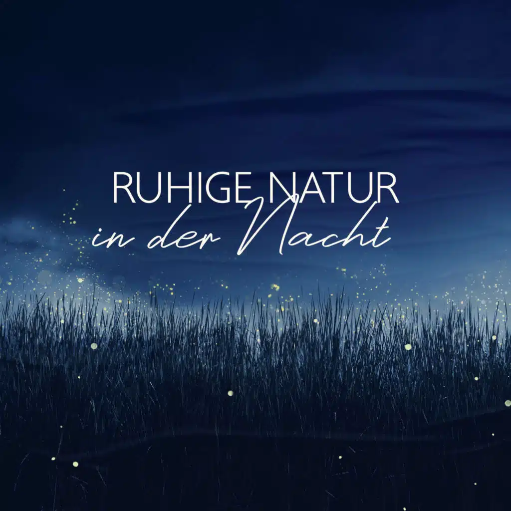 Ruhige Nacht (Schlafmusik)